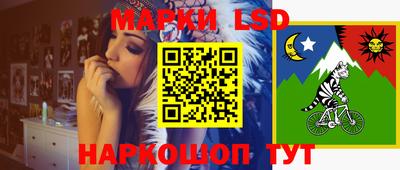 хмурый Кингисепп