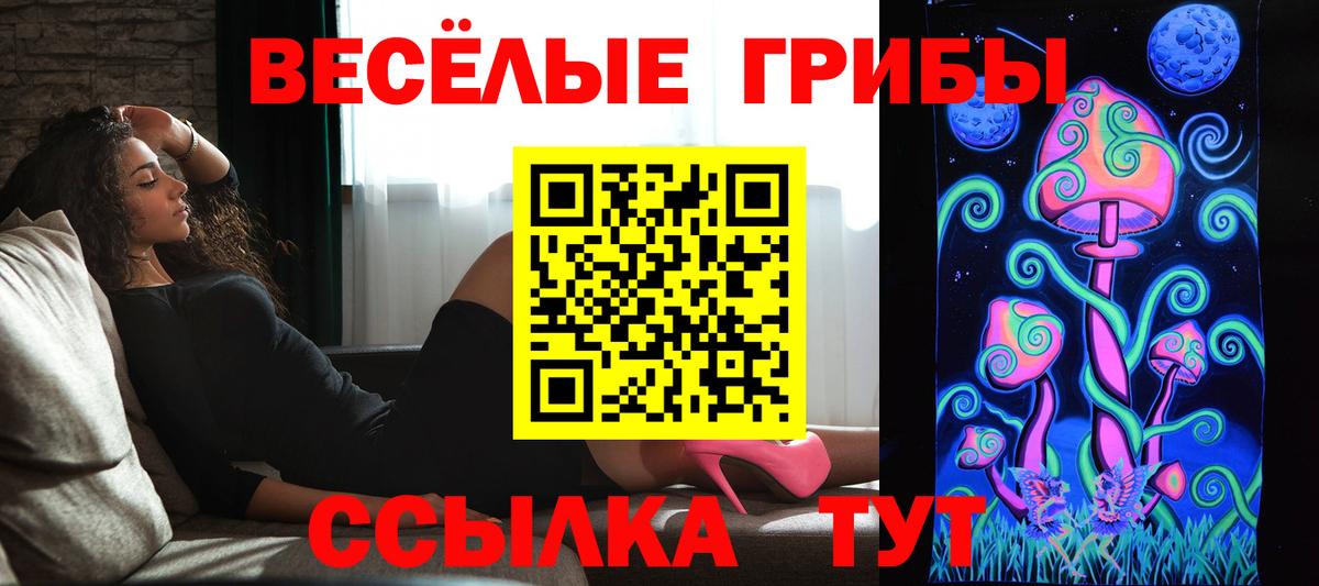 Псилоцибиновые грибы Magic Shrooms  Галлюциногенные грибы GOLDEN TEACHER  Вход с VPN  Конаково 